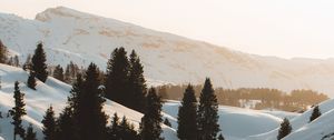 Preview wallpaper mountains, snow, trees, stream, winter