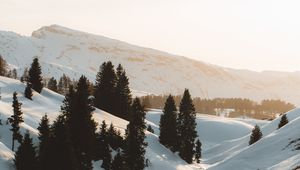 Preview wallpaper mountains, snow, trees, stream, winter