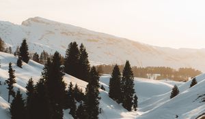 Preview wallpaper mountains, snow, trees, stream, winter