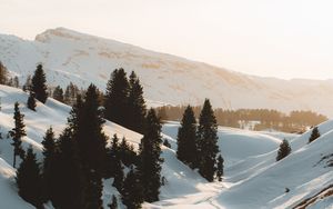 Preview wallpaper mountains, snow, trees, stream, winter