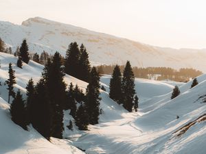 Preview wallpaper mountains, snow, trees, stream, winter