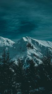 Preview wallpaper mountains, snow, trees, twilight, evening