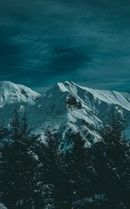 Preview wallpaper mountains, snow, trees, twilight, evening