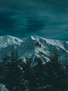 Preview wallpaper mountains, snow, trees, twilight, evening