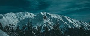 Preview wallpaper mountains, snow, trees, twilight, evening