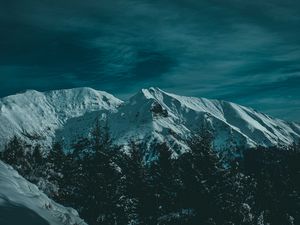 Preview wallpaper mountains, snow, trees, twilight, evening
