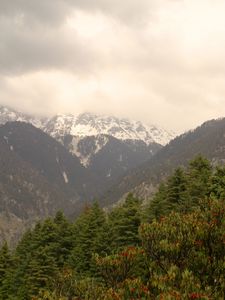 Preview wallpaper mountains, snow, trees, peak, snowy