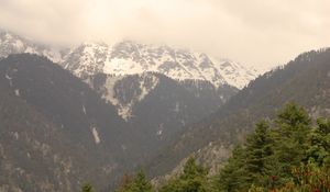 Preview wallpaper mountains, snow, trees, peak, snowy