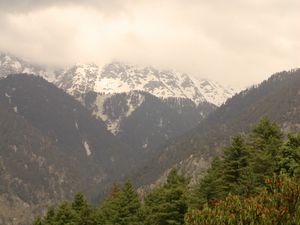 Preview wallpaper mountains, snow, trees, peak, snowy