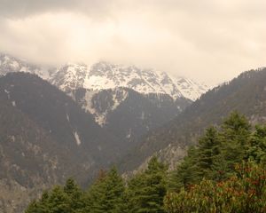 Preview wallpaper mountains, snow, trees, peak, snowy