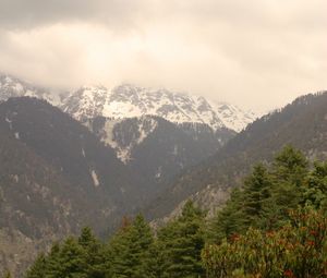 Preview wallpaper mountains, snow, trees, peak, snowy