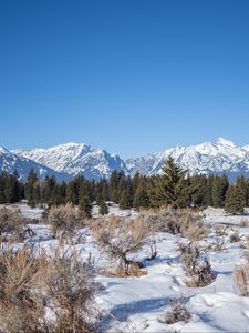 Preview wallpaper mountains, snow, trees, bushes, landscape