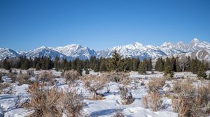 Preview wallpaper mountains, snow, trees, bushes, landscape