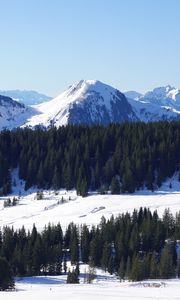 Preview wallpaper mountains, snow, trees, winter, landscape, aerial view