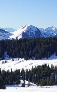 Preview wallpaper mountains, snow, trees, winter, landscape, aerial view