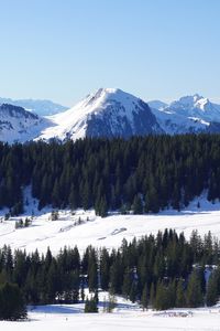 Preview wallpaper mountains, snow, trees, winter, landscape, aerial view