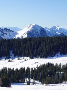 Preview wallpaper mountains, snow, trees, winter, landscape, aerial view