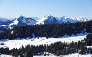 Preview wallpaper mountains, snow, trees, winter, landscape, aerial view