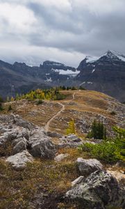 Preview wallpaper mountains, snow, trees, path, nature, landscape