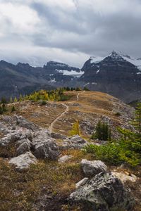 Preview wallpaper mountains, snow, trees, path, nature, landscape