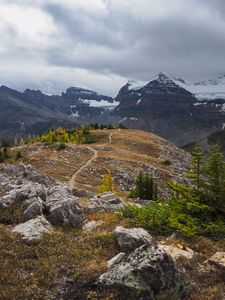 Preview wallpaper mountains, snow, trees, path, nature, landscape