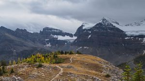 Preview wallpaper mountains, snow, trees, path, nature, landscape