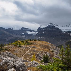 Preview wallpaper mountains, snow, trees, path, nature, landscape