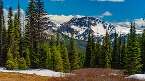 Preview wallpaper mountains, snow, trees, nature