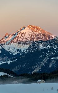 Preview wallpaper mountains, snow, trees, winter, nature, sunset