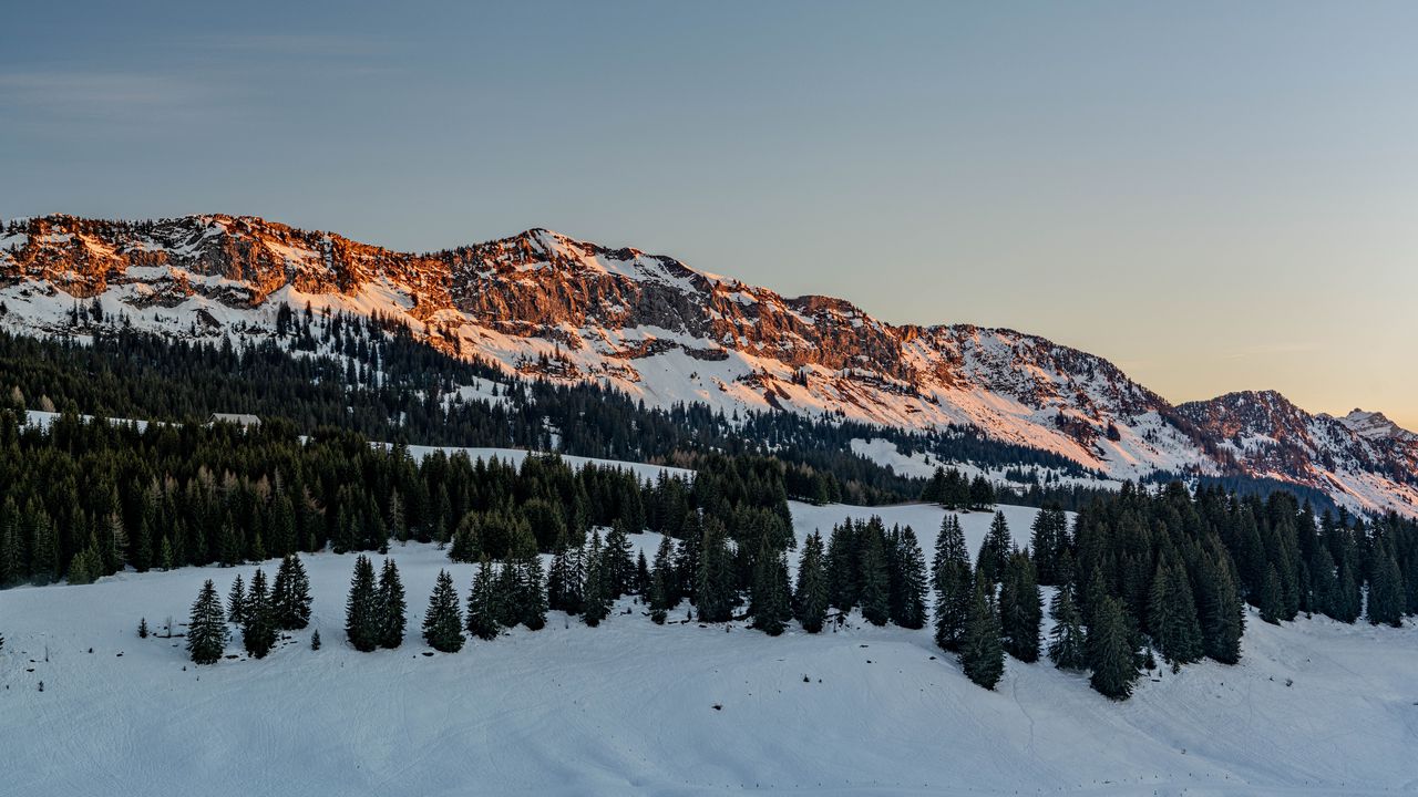 Wallpaper mountains, snow, trees, winter, sunset