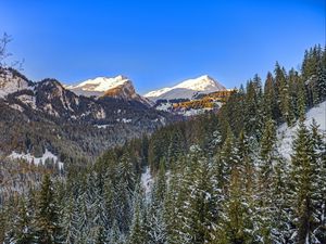 Preview wallpaper mountains, snow, trees, winter, landscape, nature