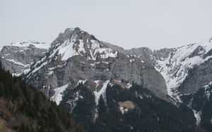 Preview wallpaper mountains, snow, trees, forest, nature