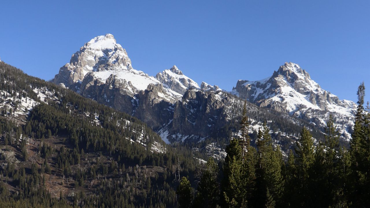 Wallpaper mountains, snow, trees, lake, reflection