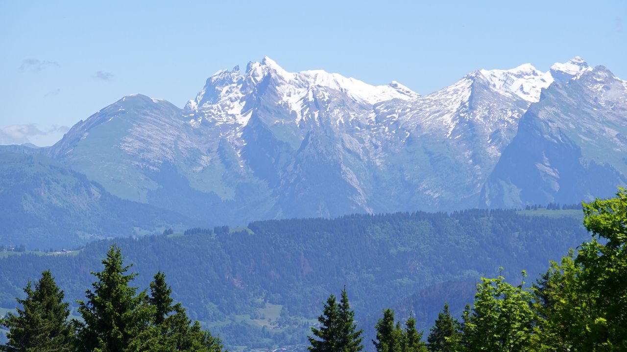 Wallpaper mountains, snow, trees, flowers