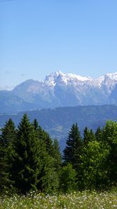 Preview wallpaper mountains, snow, trees, flowers