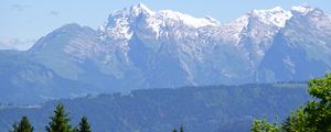 Preview wallpaper mountains, snow, trees, flowers