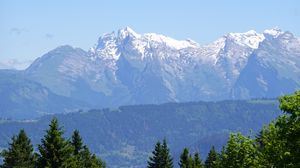 Preview wallpaper mountains, snow, trees, flowers