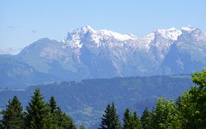 Preview wallpaper mountains, snow, trees, flowers