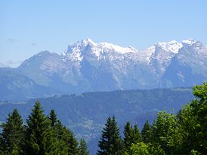 Preview wallpaper mountains, snow, trees, flowers