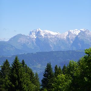 Preview wallpaper mountains, snow, trees, flowers