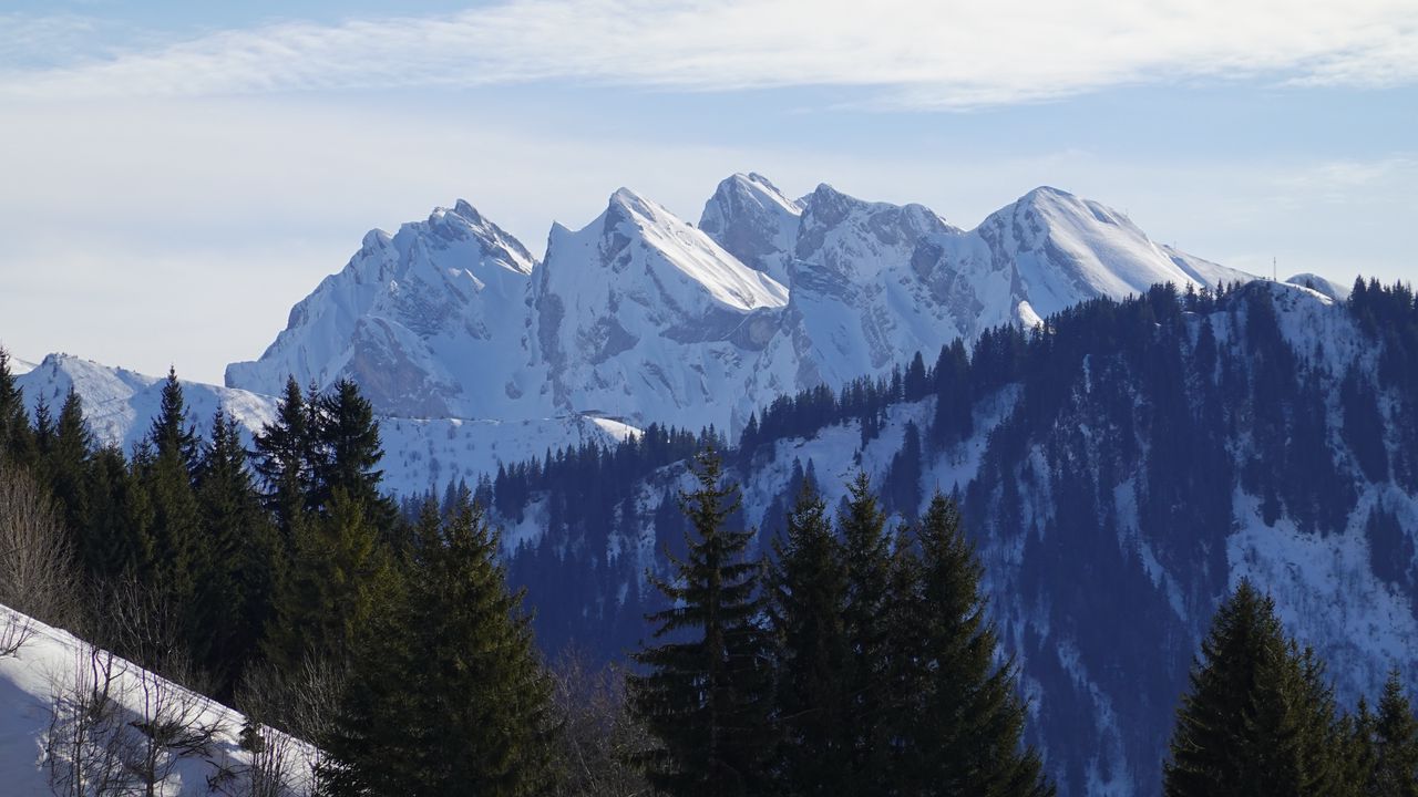 Wallpaper mountains, snow, trees, winter