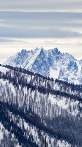 Preview wallpaper mountains, snow, trees, slope, winter, nature