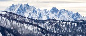 Preview wallpaper mountains, snow, trees, slope, winter, nature