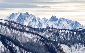 Preview wallpaper mountains, snow, trees, slope, winter, nature