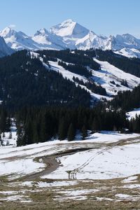 Preview wallpaper mountains, snow, trees, landscape, valley