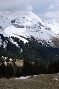 Preview wallpaper mountains, snow, trees, slopes, hills, valley, landscape