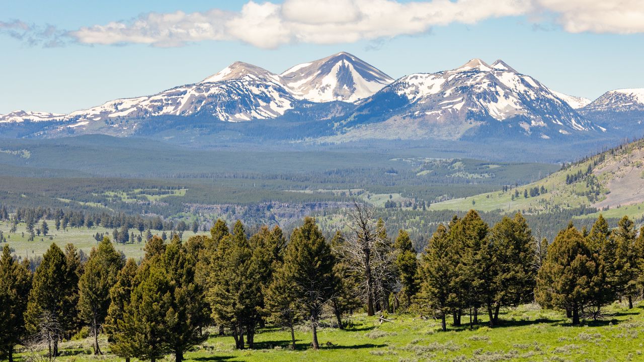 Wallpaper mountains, snow, valley, trees