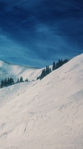 Preview wallpaper mountains, snow, winter, top, conifer