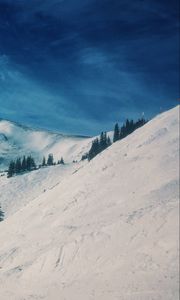 Preview wallpaper mountains, snow, winter, top, conifer