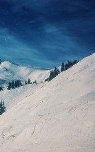 Preview wallpaper mountains, snow, winter, top, conifer